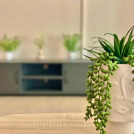 Le Rubis  Terrasse - Wifi - Entrée Autonome * Lacroix-Falgarde